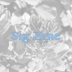 Sig Zane